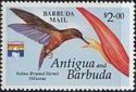 Rufous-breasted Hermit and Heliconia - Overprinted
