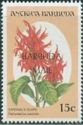 Cardinal's Guard (Pachystachys coccinea) - Overprinted