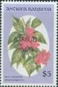 Spicy Jatropha - Overprinted