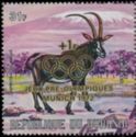 Southern Sable Antelope (Hippotragus niger)