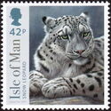 Snow Leopard
