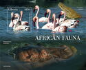 African Fauna