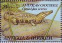 American Crocodile (Crocodylus acutus) - Overprinted