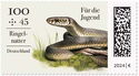 Grass Snake (Natrix natrix)