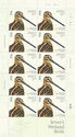 Common Snipe (Gallinago gallinago)