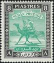 Postman with Dromedary (Camelus dromedarius)
