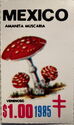 Fly Agaric (Amanita muscaria)