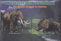 Coelodonta antiquitatis and Woolly Mammoth