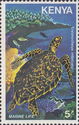 Hawksbill Turtle (Eretmochelys imbricata)