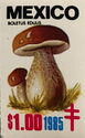 Cep, Penny Bun or Porcino (Boletus edulis)
