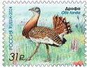 Bustard (Otis tarda)