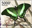 Emerald Swallowtail (Papilio palinurus)