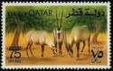 Arabian Oryx (Oryx leucoryx)