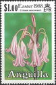 Crinum macowanii