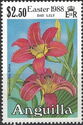 Day Lily (Hemerocallis fulva)