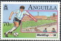 Argentine Player and Foxboro Stadium, Boston