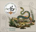 Chinese Astrology Year of the Snake