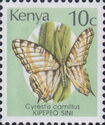 African Map Butterfly (Cyrestis camillus)