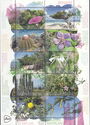 Experience Nature : Flora of Bonaire