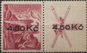 Overprint on Sokol winter games (Falco peregrinus)