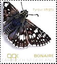 Pyrgus adepta