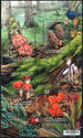 Wild Mushrooms of Taiwan III