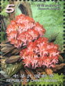 Ramaria botrytis