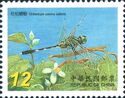 Slender Skimmer (Orthetrum sabina sabina)