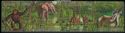 Strip of 4 Stamps with African Animals