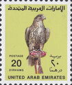 Saker Falcon (Falco cherrug)