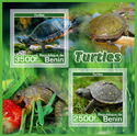 Turtles