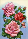 Three roses