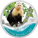 500 CFA Francs (Caribbean Life - Capuchin monkey)