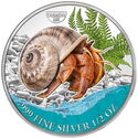 500 CFA Francs (Caribbean Life - Caribean Hermit Crab)