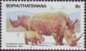White Rhinoceros (Ceratotherium simum)