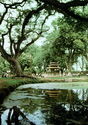 Hanoi - The Botanical Garden.