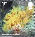 Cold Water Coral Reef