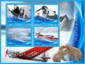Polar The Flight Across the North Pole