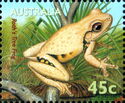 Roth's Tree Frog (Litoria rothii) 