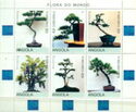 Bonsai Trees