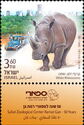 White Rhinoceros (Ceratotherium simum)