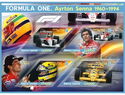 Transport Formula Ayrton Senna