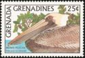 Brown Pelican (Pelecanus occidentalis)