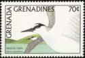Bridled Tern (Sterna anaethetus)