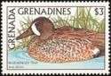 Blue-winged Teal (Anas discors)