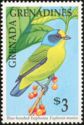 Blue-hooded Euphonia (Euphonia musica)