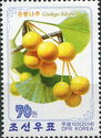 Ginkgo biloba
