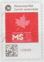 MS Red maple leaf