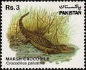 Marsh Crocodile (Crocodylus palustris) 
