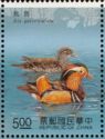 Mandarin Duck (Aix galericulata)